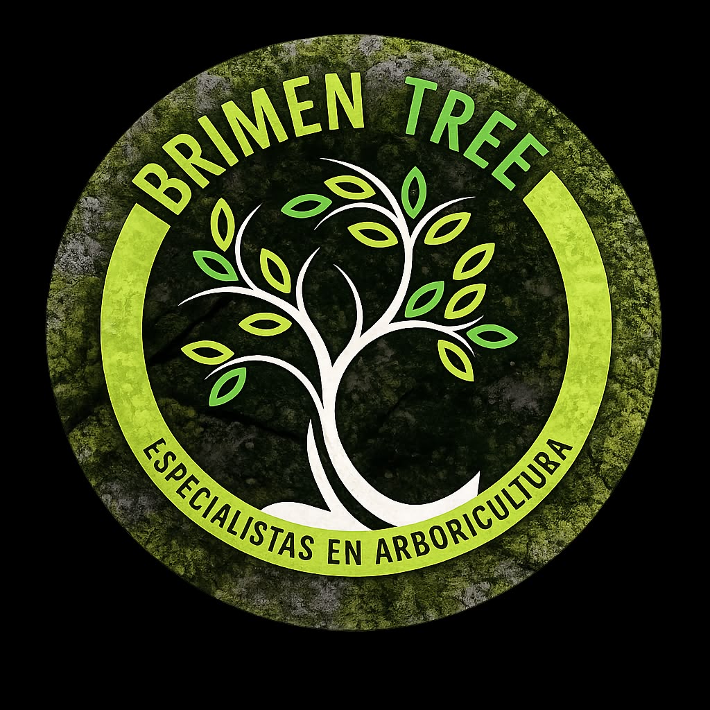 Brimen Tree